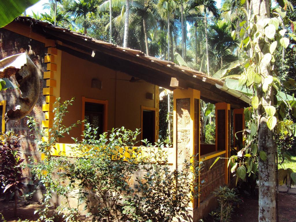 Dudhsagar Plantation Villa Cormonem Dış mekan fotoğraf