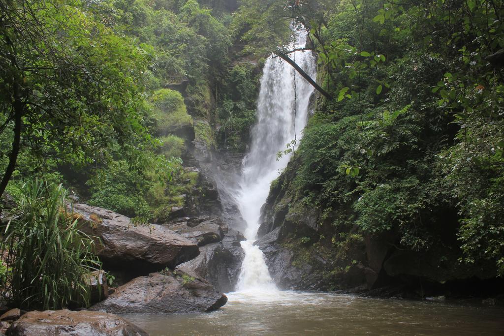 Dudhsagar Plantation Villa Cormonem Dış mekan fotoğraf