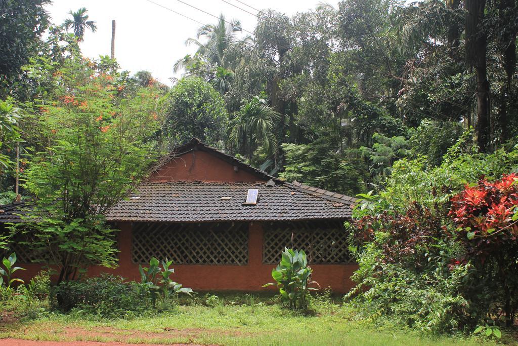 Dudhsagar Plantation Villa Cormonem Dış mekan fotoğraf