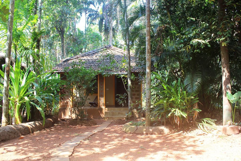 Dudhsagar Plantation Villa Cormonem Dış mekan fotoğraf